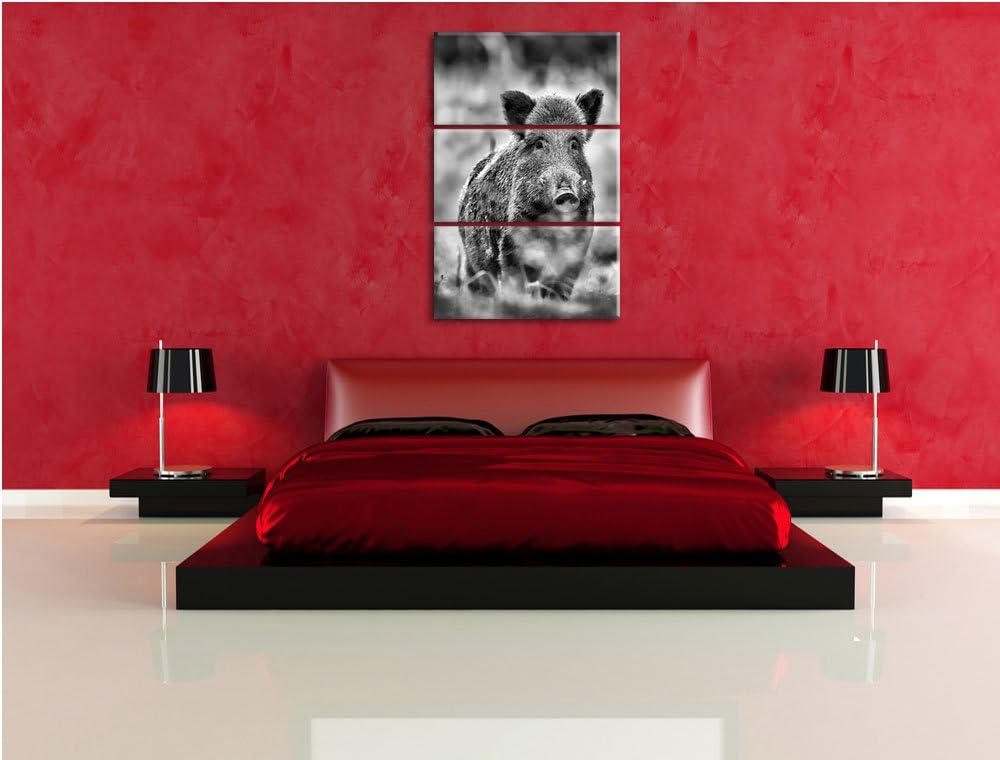 Pixxprint Wildschwein auf Wiese als Leinwandbild | Grösse: 3 Teilig (120x80) | Wandbild| Kunstdruck
