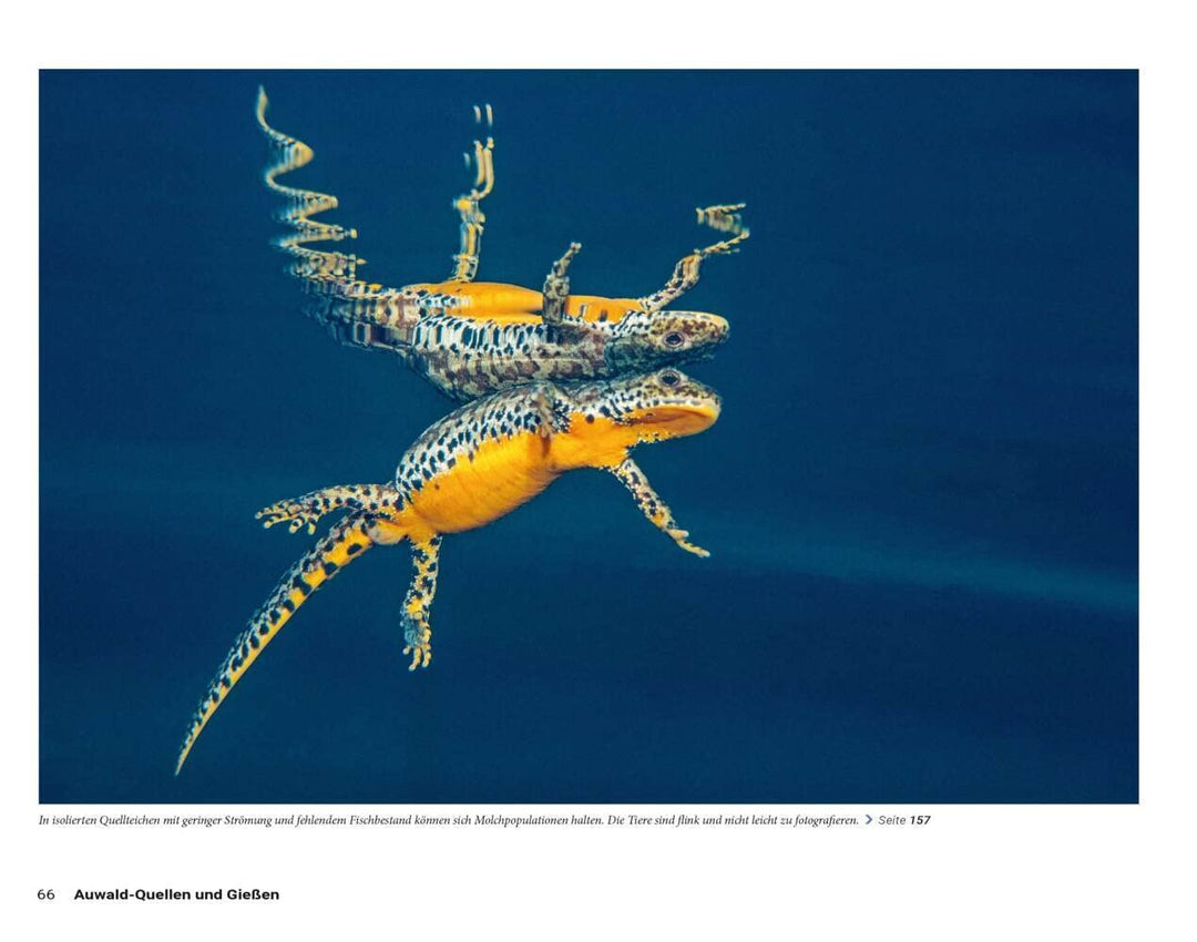 Die Welt der Süsswasserquellen: Deutschlands faszinierende Naturdenkmale, Gebundenes Buch