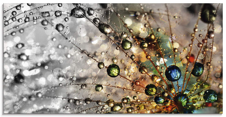 Glasbilder Wandbild Glas Bild einteilig 100x50 cm Querformat Natur Botanik Blumen Pusteblume Frühlin