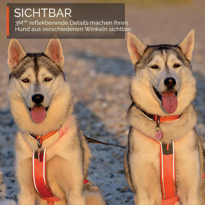 Non-stop dogwear Line Harness 5.0, Gepolstertes Hundegeschirr für kleine, mittlere und grosse Hunde,