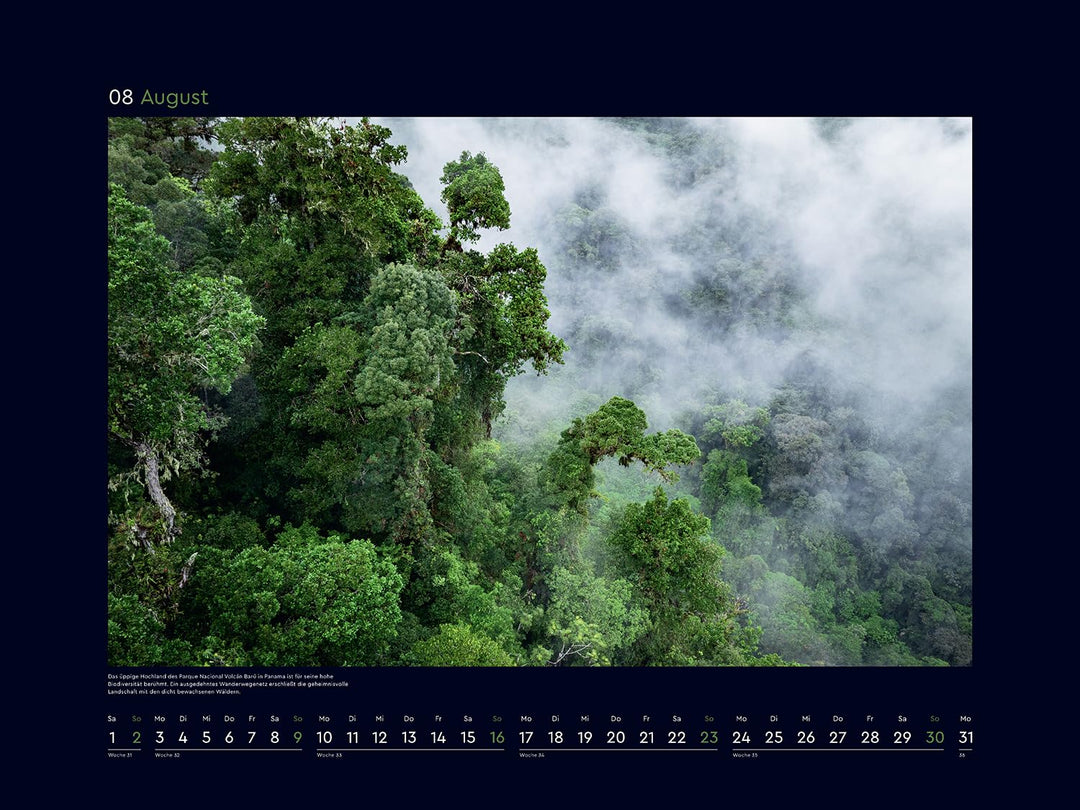 Magische Wälder der Erde - KUNTH Wandkalender 2026: Hochwertiger, bildstarker Kalender mit Spiralbin