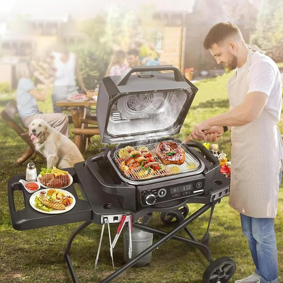 2 Stück Grillrost Edelstahl für Ninja Woodfire Elektrogrill & Smoker, Grill Zubehör Kompatibel mit N