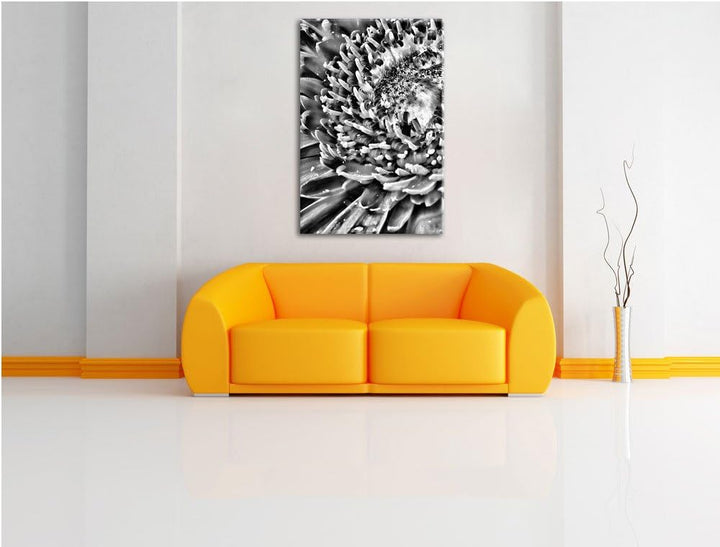 Pixxprint Monocrome, red Flower Gerbera Sunshine Gras Blumen, Format: 100x70 auf Leinwand, XXL riesi
