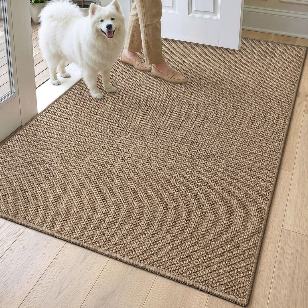 DEXI Schmutzfangmatte Innen 90 x 140 cm, rutschfest Fussmatte waschbar, absorbierend Fussmatte, Dünn