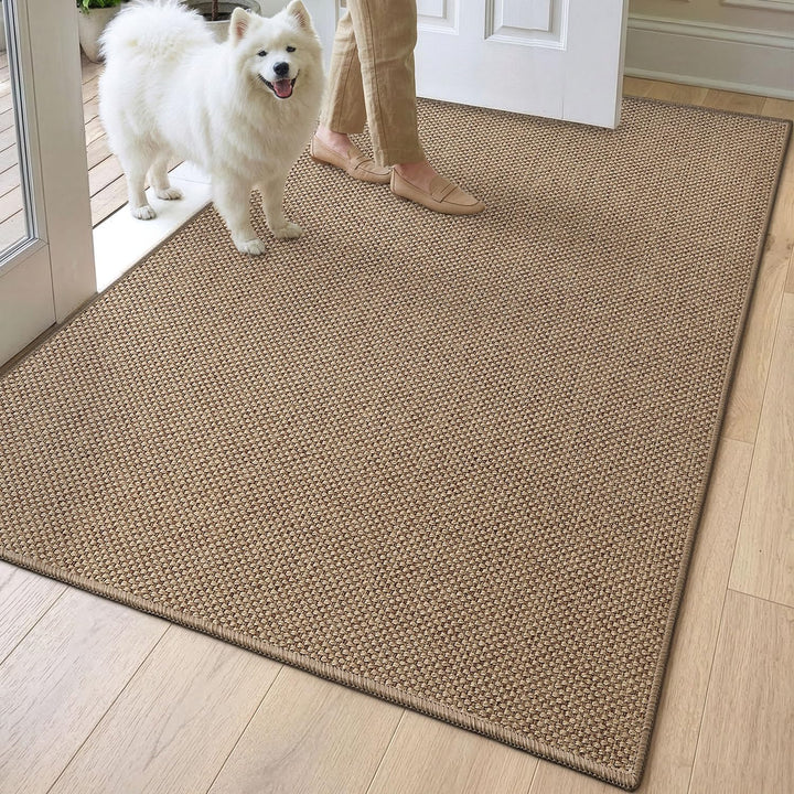 DEXI Schmutzfangmatte Innen 90 x 140 cm, rutschfest Fussmatte waschbar, absorbierend Fussmatte, Dünn