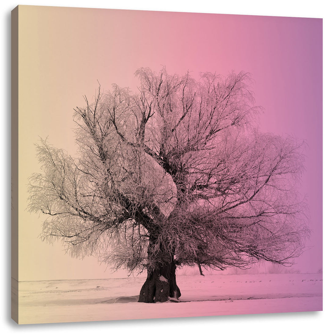 Pixxprint verschneite Bäume im Nebel/Format: 70x70cm / Leinwandbild fertig bespannt Wandbild Kunstdr