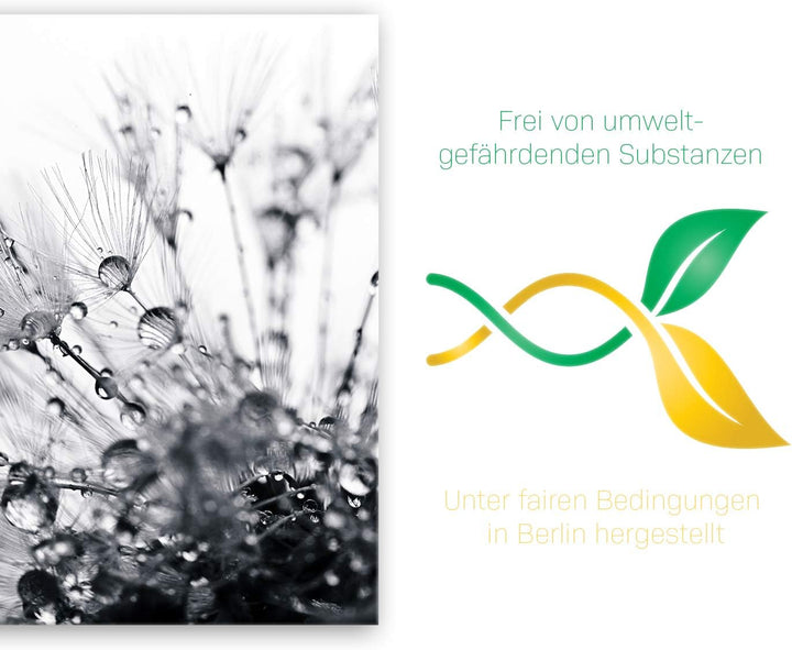 ge Bildet Bild auf Leinwand | another world - schwarz weiss - Blumen Natur Pusteblume H in 50x50 cm