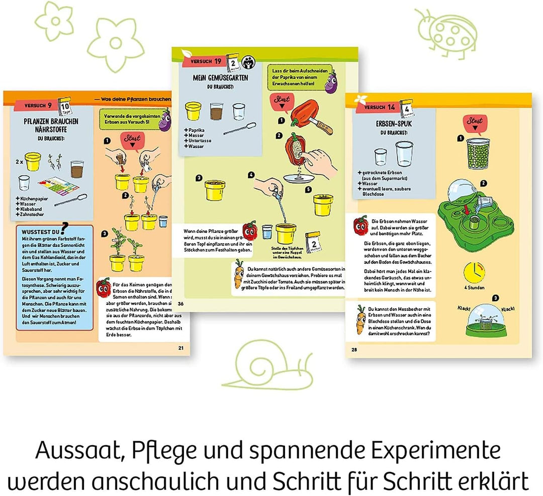 Kosmos 632083 Mein erstes Gewächshaus, Das Original, Erstes Gärtnern für Kinder ab 5 Jahre, Komplett