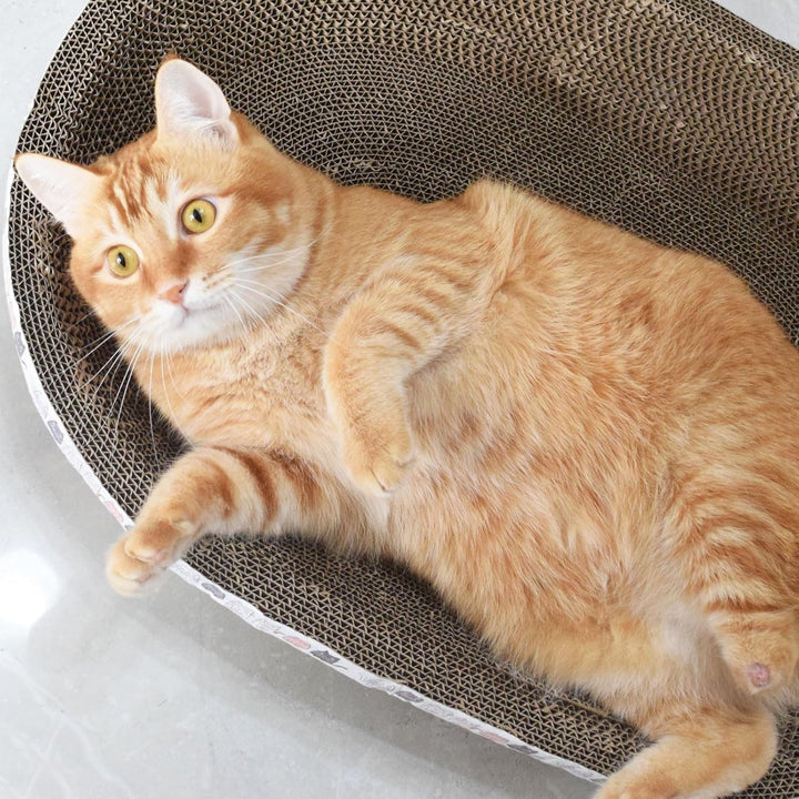 2-in-1 Katzenkratzbett & Kratzbrett Oval - Hochdichte Wellpappe für Krallenpflege & Schlaf - Langleb