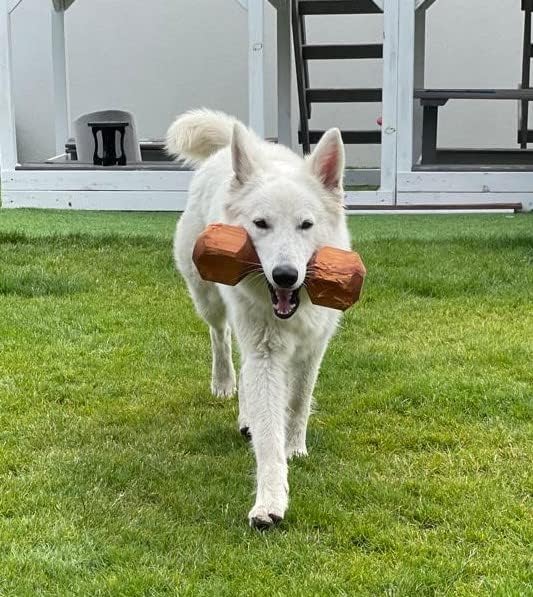 Dingo Apportier Holz aus einem Stück Erlenholz Apport für Gehorsam Obedience Spiel, Spass und Hundet