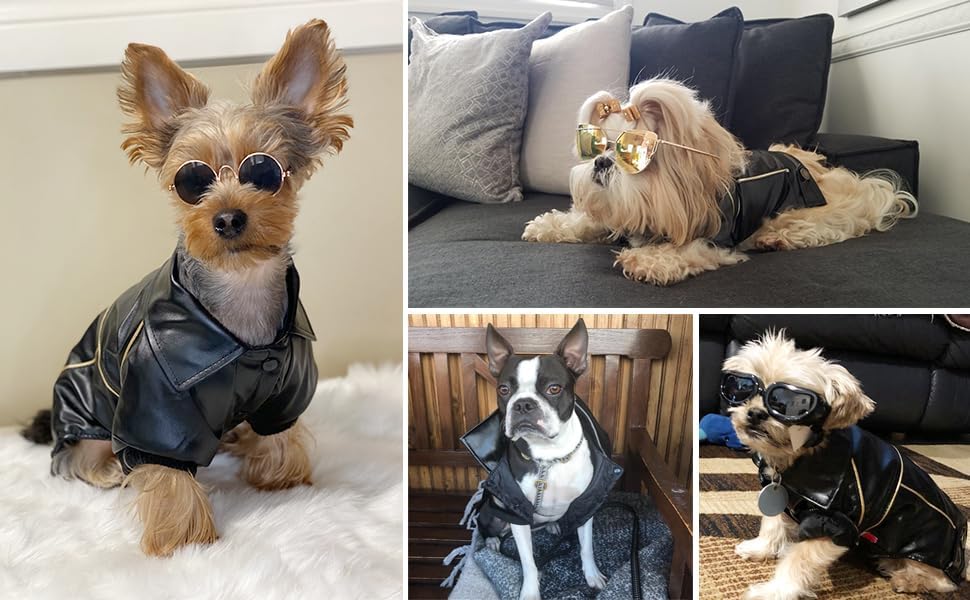 NIULA Hunde-Lederjacke – niedliche Lederjacken, Motorradkleidung mit Knöpfen, wasserdichter Winterma