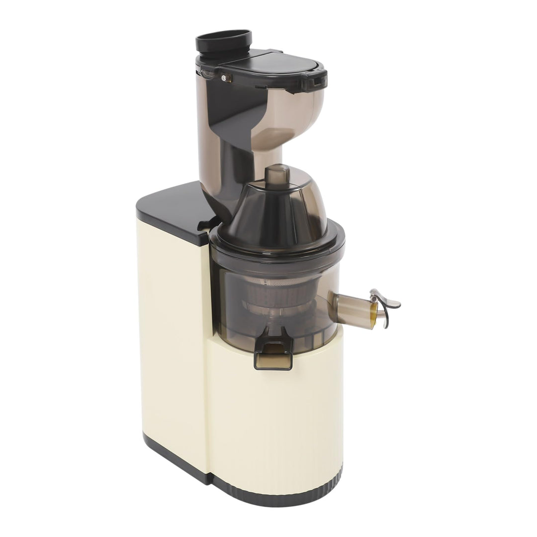 WooDerson 800W Entsafter Gemüse und Obst Spiral-Kaltentsafter, Saftpresse Elektrisch 500ml Langsamer