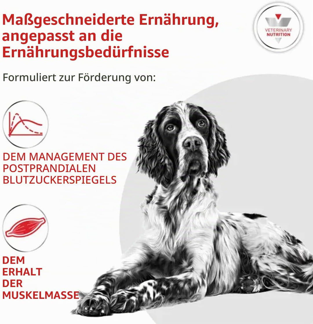 Royal Canin Diabetic 12 kg Adult