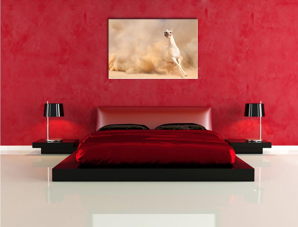 Weisses Pferd in der Wüste Format: 100x70 auf Leinwand, XXL riesige Bilder fertig gerahmt mit Keilra
