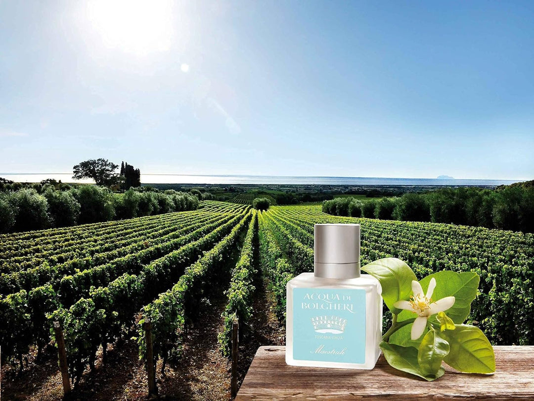 Acqua di Bolgheri EAU DE PARFUM 100 ml