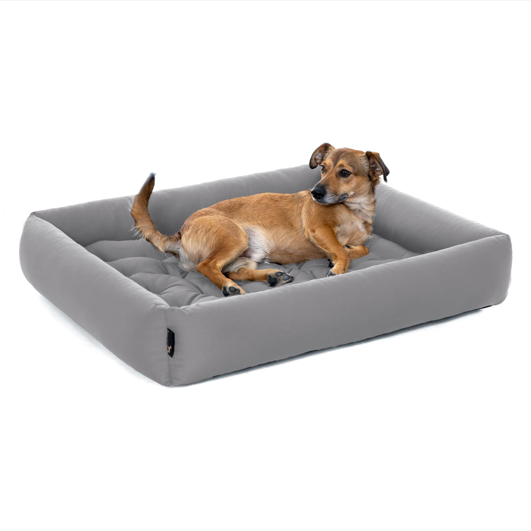 Pointer | Hundebett mit Hundekissen - orthopädisch, waschbar, bequem (M - 70x60 cm, Hellgrau) M - 70
