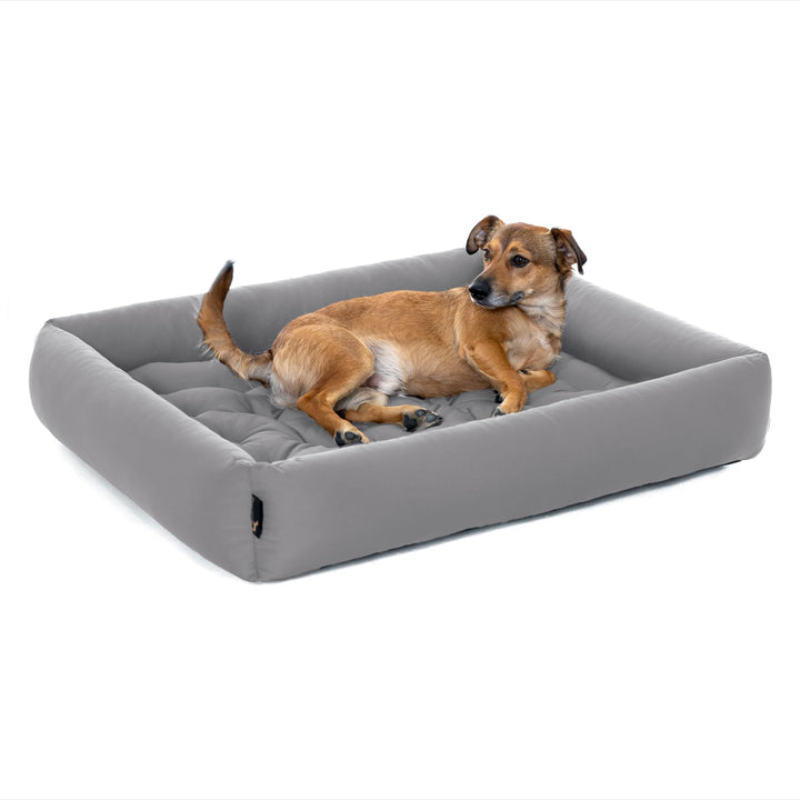 Pointer | Hundebett mit Hundekissen - orthopädisch, waschbar, bequem (M - 70x60 cm, Hellgrau) M - 70