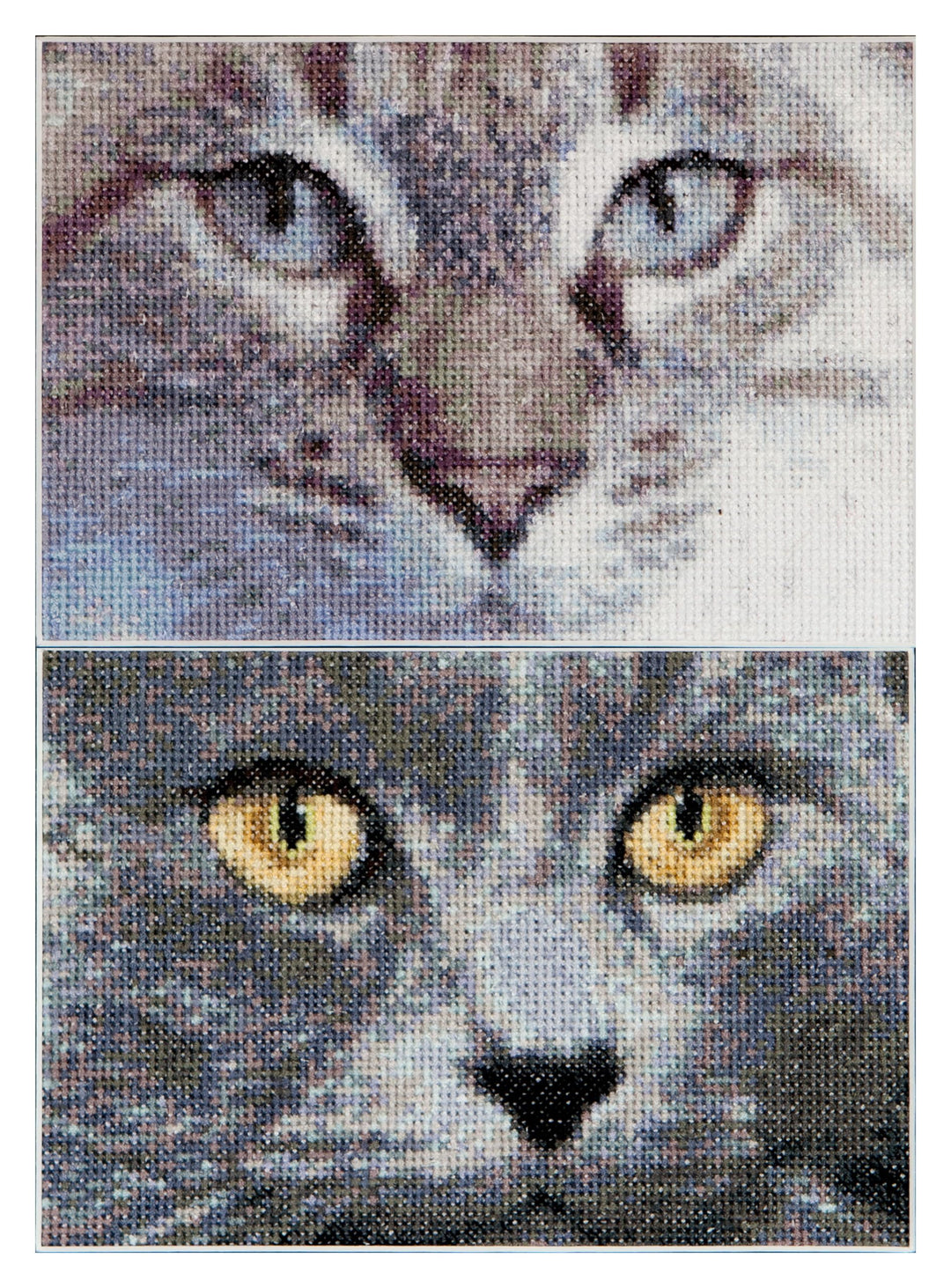 Thea Gouverneur - Kreuzstich-Set - Katzen Jac + Luna - Aida - 16 Count - Für Erwachsene - 541A, Katz