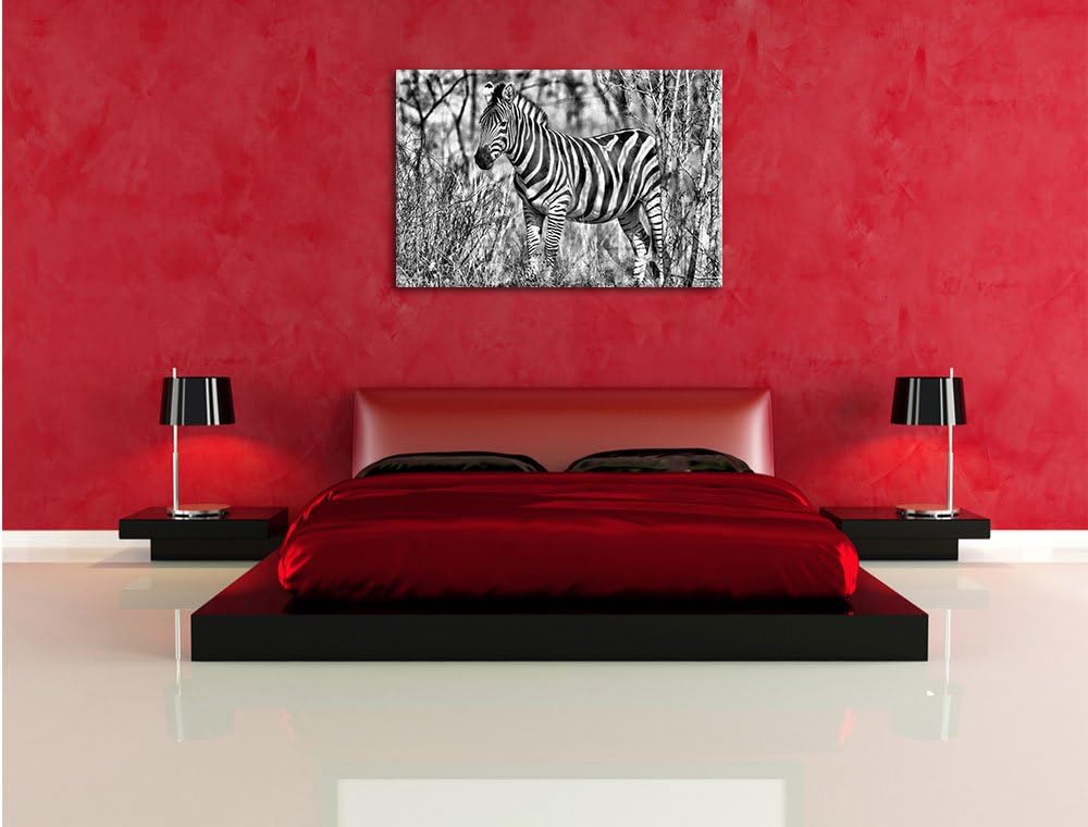 Monocrome, einsames Zebra, Format: 100x70 auf Leinwand, XXL riesige Bilder fertig gerahmt mit Keilra