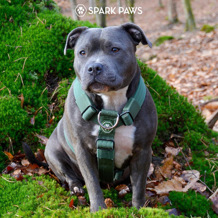 Spark Paws No Pull Hundegeschirr mit Griff für grosse Hunde, strapazierfähiges Hundegeschirr für gro