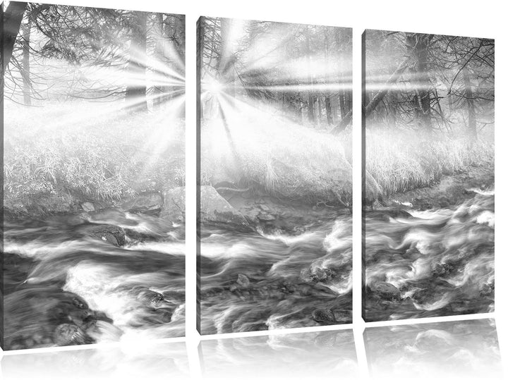 Pixxprint Nebeldickicht im Wald / 3-Teilig/Gesamtmass 120cm Leinwandbild bespannt auf Holzrahmen/Wan