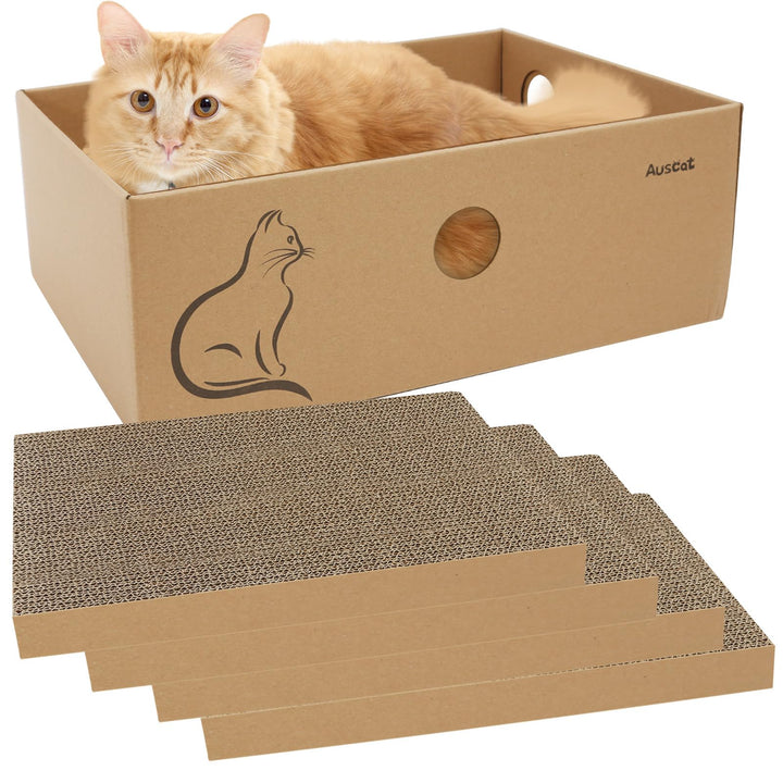 AUSCAT Kratzbrett Katze mit Box, 4 STK. Doppelseitige Kratzpappe für Katzen, Wellpappe Kratzbrett fü