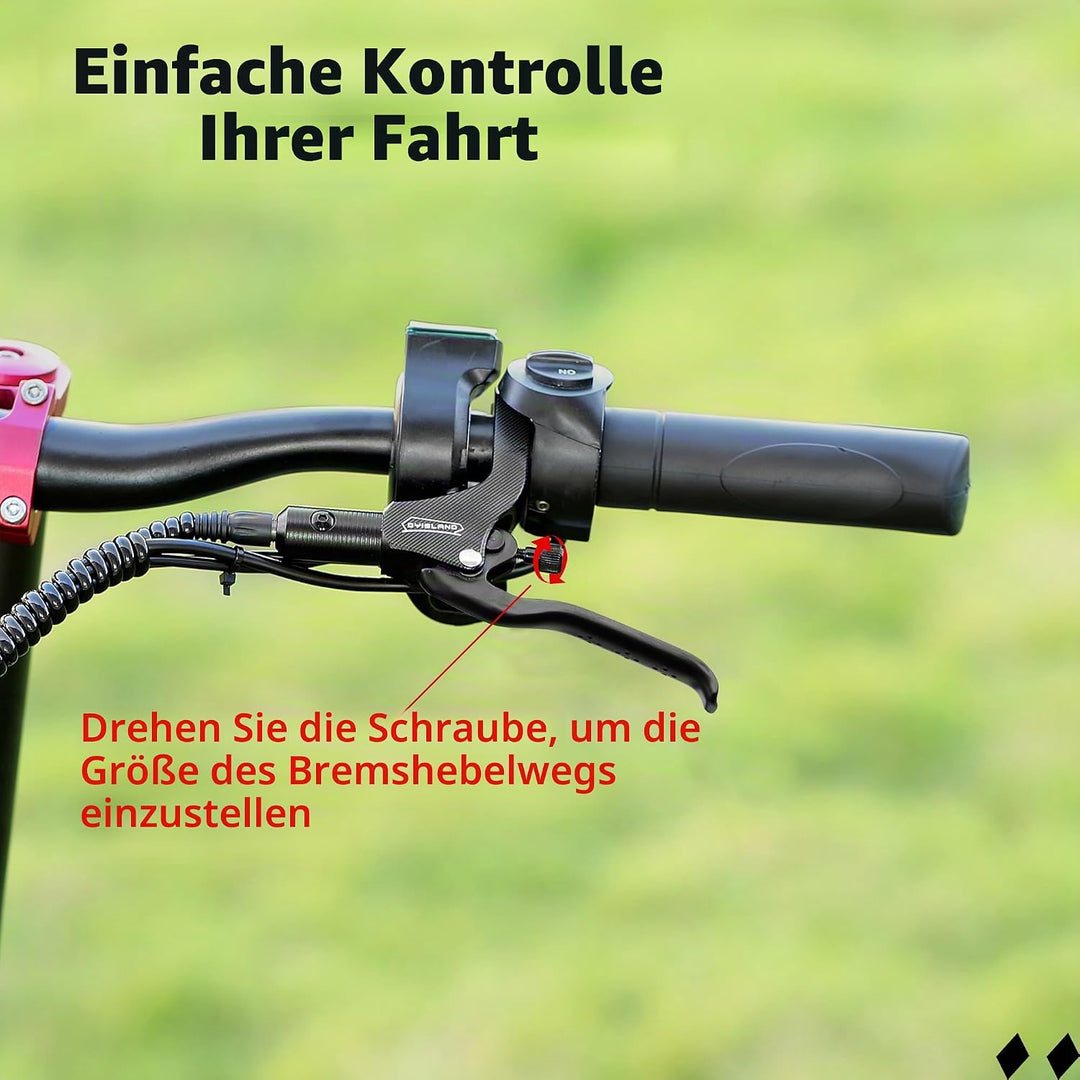 LD-210S Hydraulisches Scheibenbremsen-Set, 2-polig/Power-Off-Bremsset für Elektroroller/E-Scooter L-
