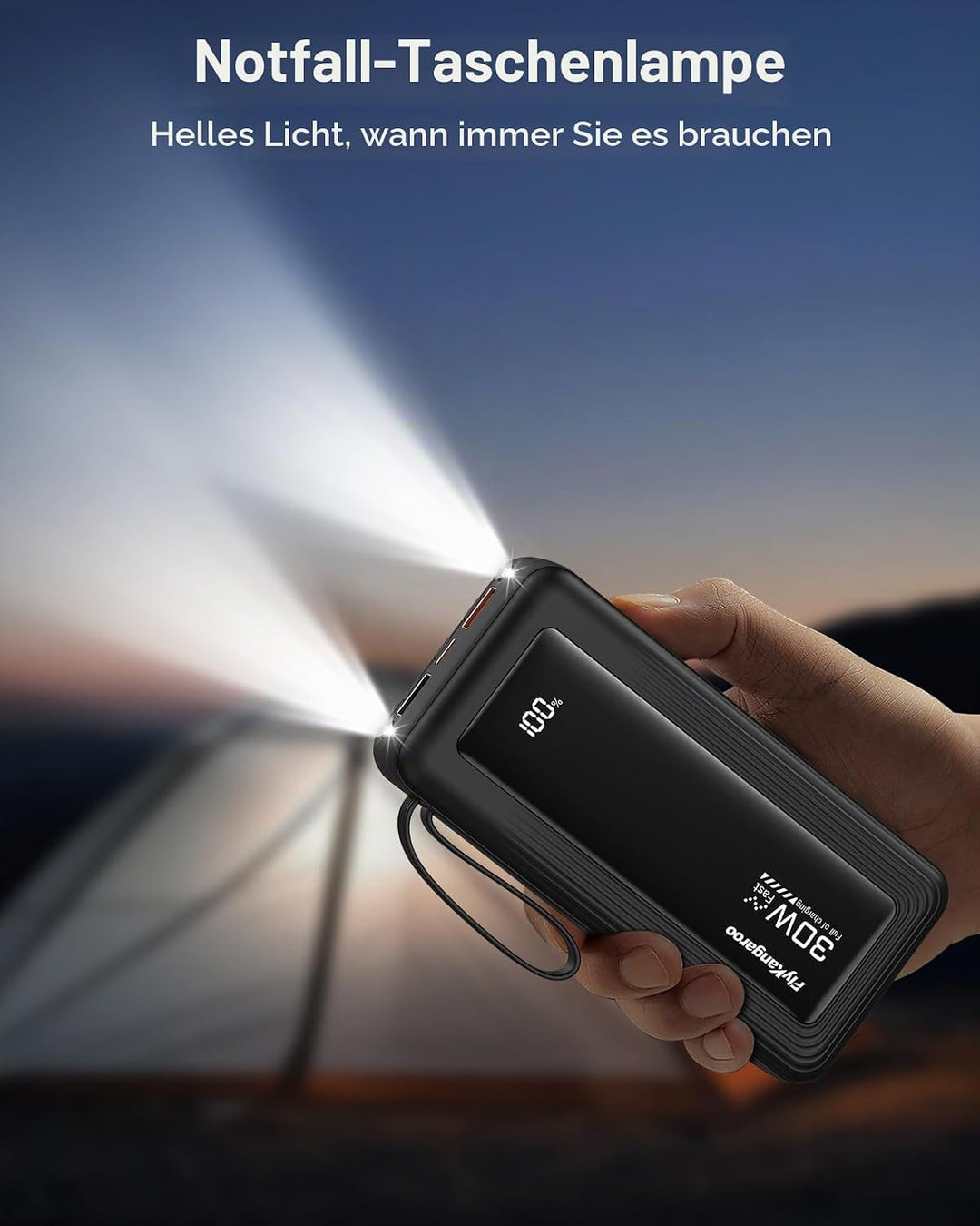 Powerbank 27000mAh mit 4 integrierten Kabel, 30W USB C Schnellladefunktion Schwarz 27000mAh, Schwarz