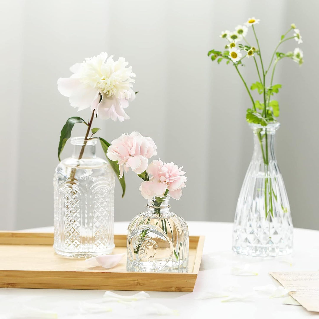 CUCUMI Glasvasen, Set mit 12 Stück, kleine Vasen für Tafelaufsätze, Vase für Blumen in Grosspackung