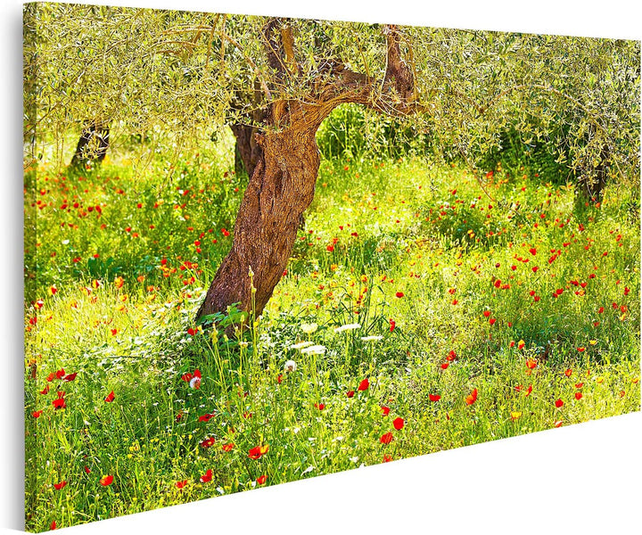 islandburner Bild auf Leinwand Mohnblumen Wiese Baum Bilder Wandbilder Poster, Leinwand 80x40cm