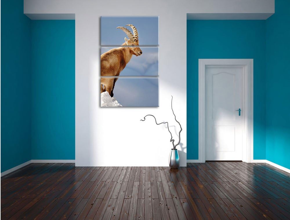 Pixxprint Steinbock im Schnee als Leinwandbild - Grösse: 3-Teilig (120x80cm) - Wandbild - Kunstdruck