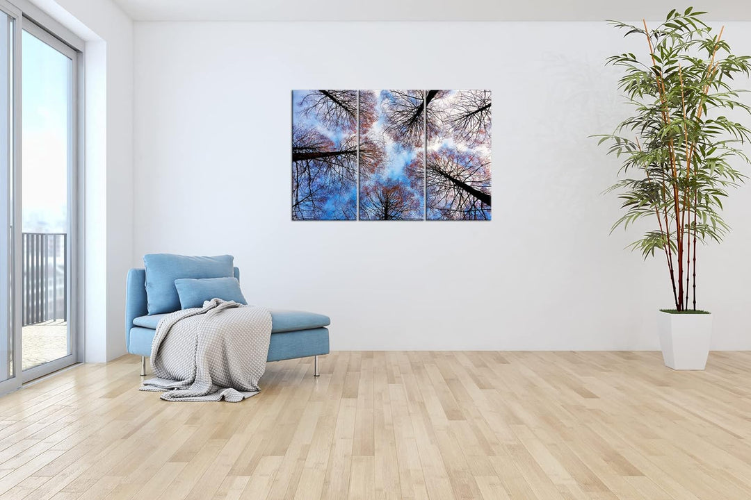 deyoli riessige Baumkronen im Herbst Format: 3Teilig als Leinwandbild, Motiv fertig gerahmt auf Echt