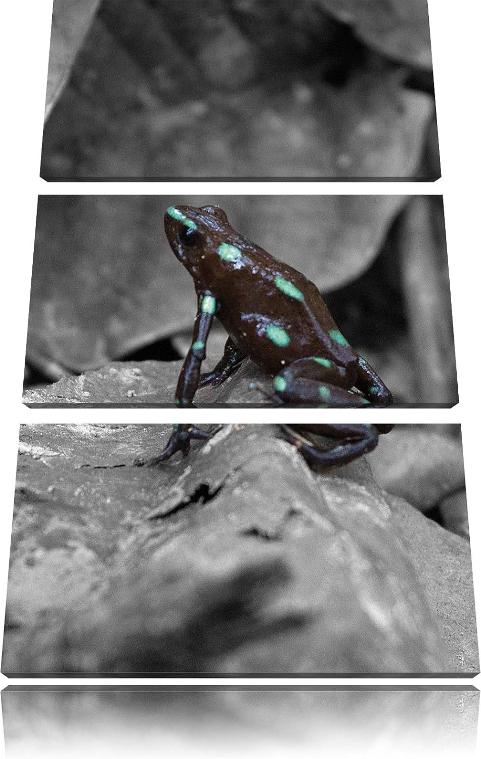 Pixxprint Baumsteiger Frosch als Leinwandbild/Grösse: 3 Teilig (120x80) cm/Wandbild/Kunstdruck/ferti