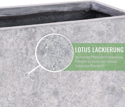 Pflanzwerk® Pflanzkübel Fiberglas Lava HELLGRAU TUB 17x50x17cm *Frostbeständige Blumenkübel* *Deutsc