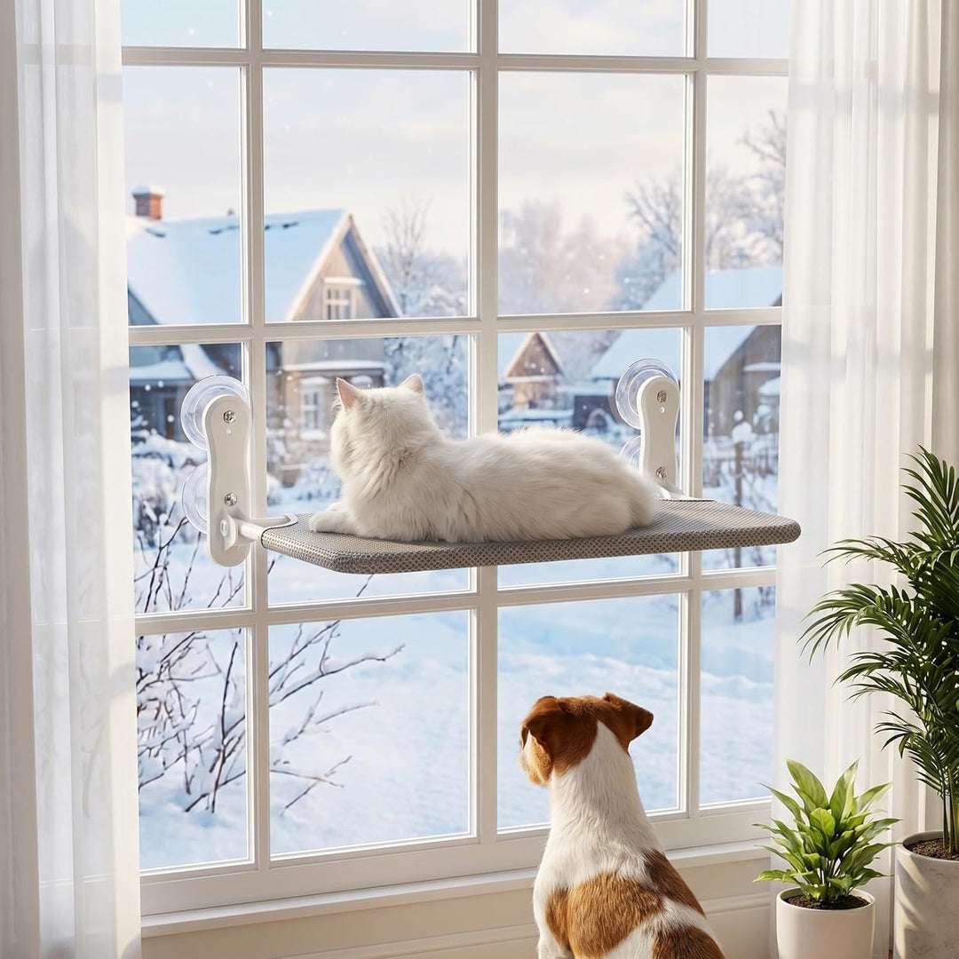 Kätzchen hängematte,fensterliegeplatz für Katzen mit Stabil Saugnäpfe,Katzenhängebett Fenster, Belas