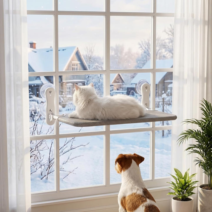 Kätzchen hängematte,fensterliegeplatz für Katzen mit Stabil Saugnäpfe,Katzenhängebett Fenster, Belas