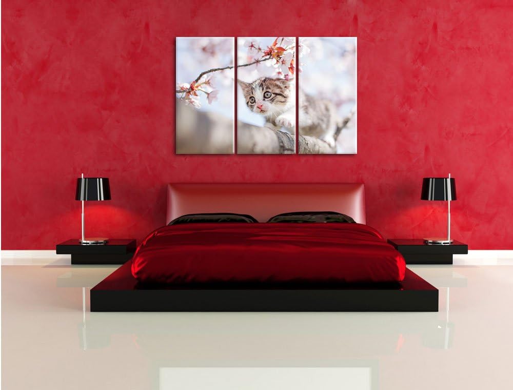 Pixxprint Süsses Kätzchen im Kirschbaum als Leinwandbild/Grösse: 3 Teilig (120x80) / Wandbild/Kunstd