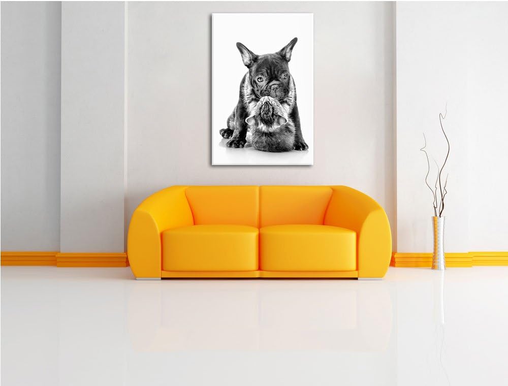 Pixxprint Monocrome, Katze und Mobs Freunde fürs Leben, Format: 100x70 auf Leinwand, 100x70
