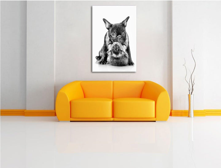 Pixxprint Monocrome, Katze und Mobs Freunde fürs Leben, Format: 100x70 auf Leinwand, 100x70