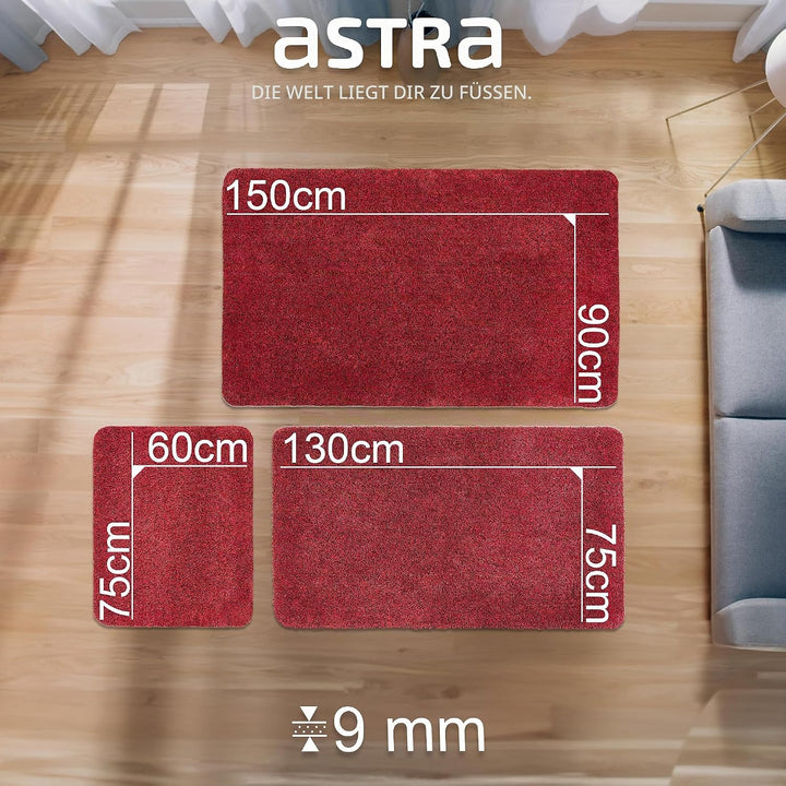 Rutschfeste Schmutzfangmatte innen waschbar - Rot 75 x 130 cm (Rechteckig) | Saugfähige Sauberlaufma