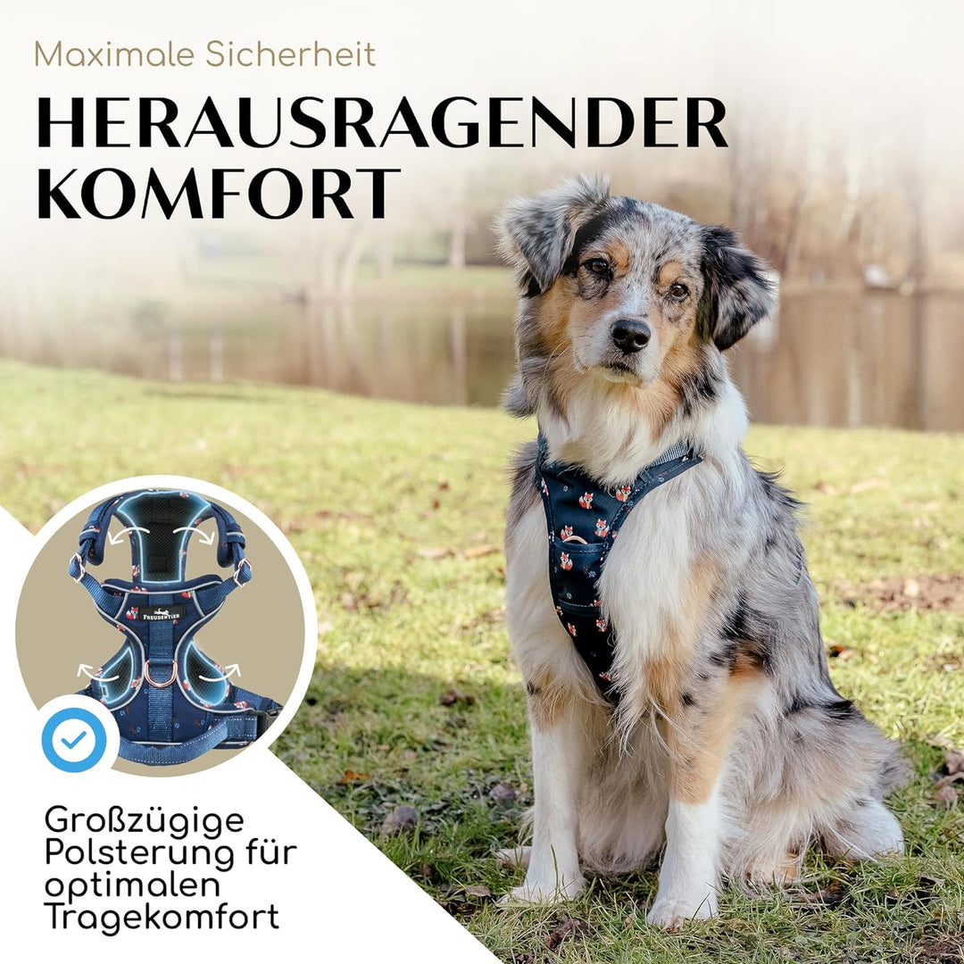 FREUDENTIER® atmungsaktives Hundegeschirr - komfortabel gepolstert - Let’s get Foxy Kollektion - 100