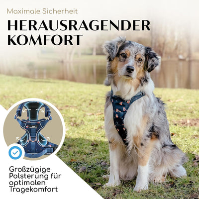 Freudentier Hundegeschirr mit atmungsaktiver Polsterung - Let’s get Foxy Kollektion - Bombenfester S