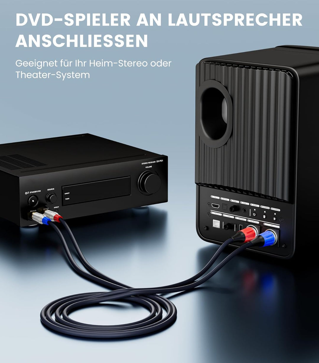 Tisino Dual Cinch auf XLR Kabel, 2 Cinch auf 2 XLR Male HiFi Stereo Audio Verbindung Mikrofonkabel D
