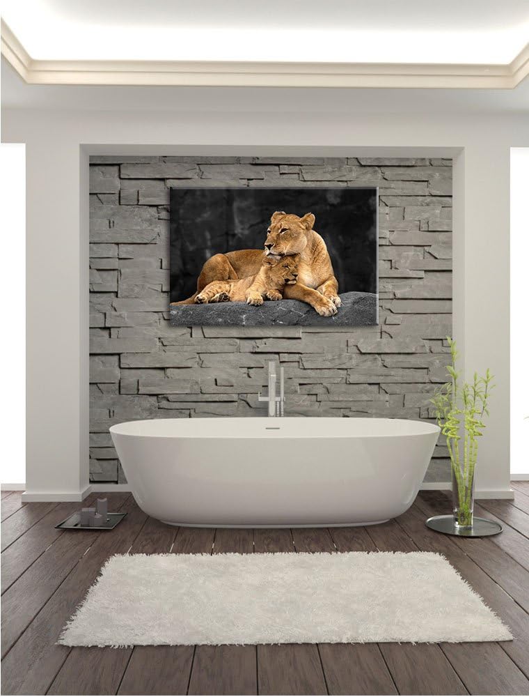 Pixxprint Löwe Löwenjungen als Leinwandbild/Grösse: 120x80 cm/Wandbild/Kunstdruck/fertig bespannt, 1