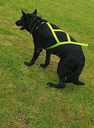 Dingo Hundegeschirre Sled Farbe Grün Zuggeschirr Canicross Bike-Ski-Jöring Training Dogtrekking Gros