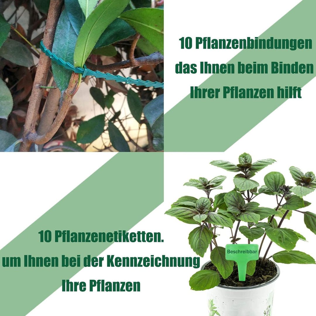 8 Stück pflanzenstütze, ASSUGO staudenhalter rund aus beschichtetem Stahl, Metall Garden Halbrund St