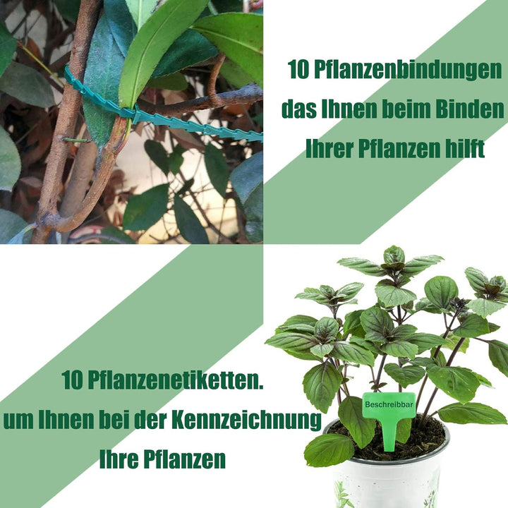 8 Stück pflanzenstütze, ASSUGO staudenhalter rund aus beschichtetem Stahl, Metall Garden Halbrund St