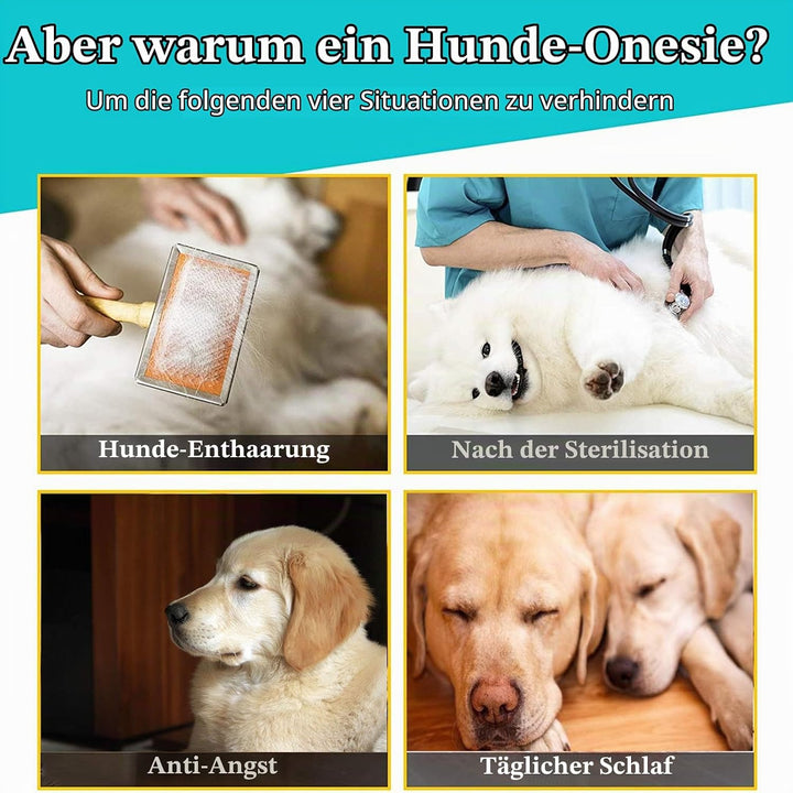 Yeapeeto Hunde-Genesungsoverall Langarm nach OP (4XL, Hai) Hai 4XL, Hai 4XL