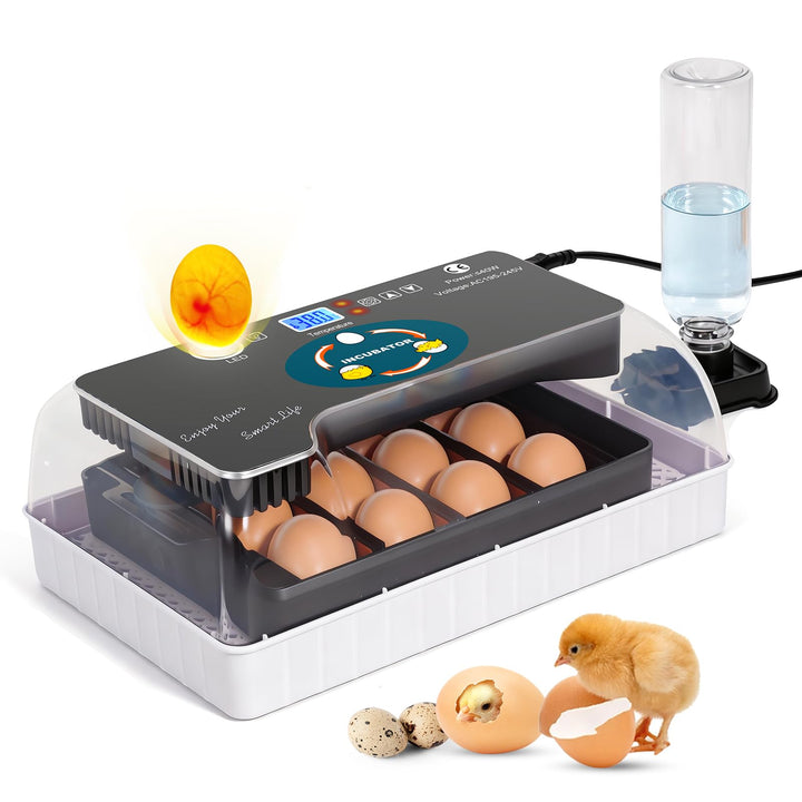 MasXirch 12 Eier Inkubator Automatisch mit Effizienter LED Beleuchtung,Inkubator Brutkasten Motorbrü