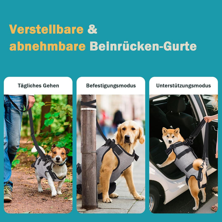 Ownpets Tragehilfe Geschirr, Hebegeschirr für kleine Hunde, Tragtuch für kleine Hunde, Ganzkörperges